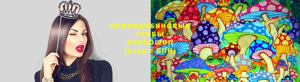 ALPHA-PVP Зерноград