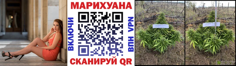 Купить где  Елабуга  Бошки Шишки индика 